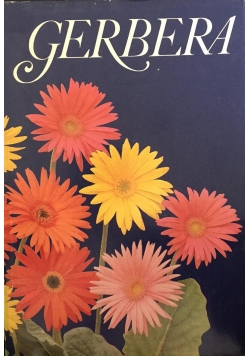 Gerbera