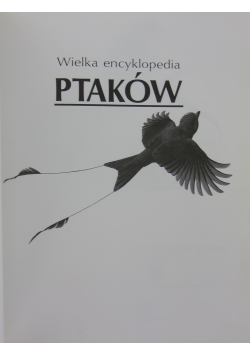 Wielka encyklopedia Kraków