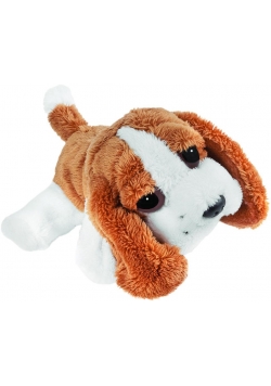 Basset 23 cm SUKI