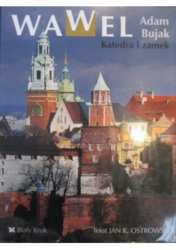 Wawel Katedra i zamek