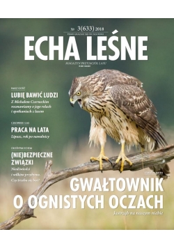 Echa Leśne Nr 3