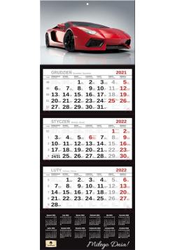 Kalendarz 2022 trójdzielny Premium Car