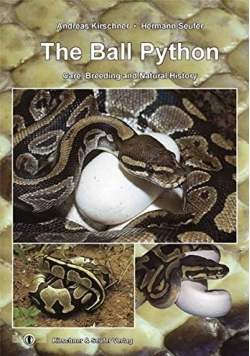 The Ball Python
