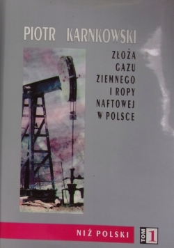 Złoża gazu ziemnego i ropy naftowej w Polsce Tom 1