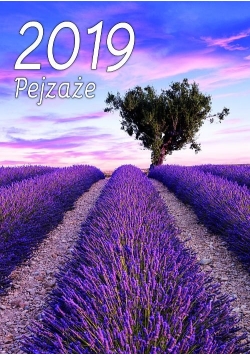 Kalendarz Pejzaże 2019 SM2