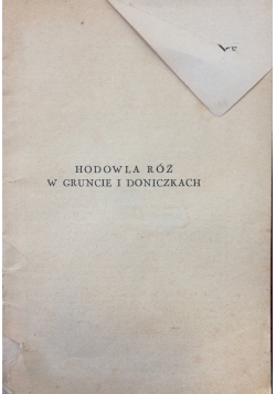 Hodowla róż w gruncie i doniczkach, 1935r.