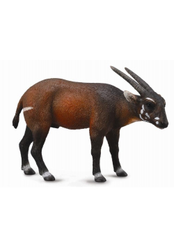 Kozica Saola