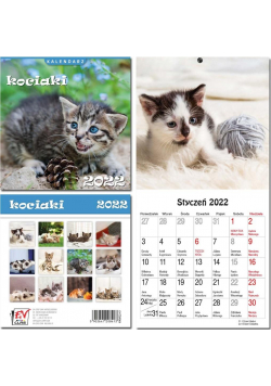 Kalendarz 2022 13 plansz Kociaki