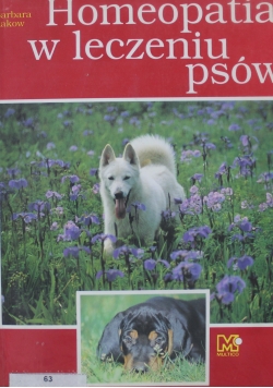 Homeopatia w leczeniu psów