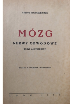 Mózg i nerwy obwodowe zarys anatomiczny, 1938 r.