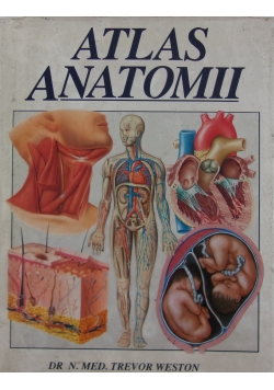 Atlas antomii