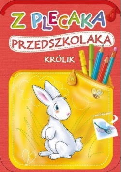 Z plecaka przedszkolaka. Królik