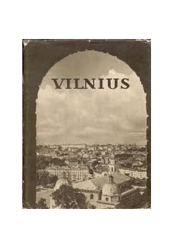Vilnius Architektura iki XX amziaus pradzios