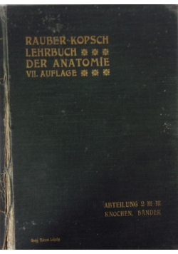 Rauber's Lehrbuch der Anatomie des Menschen, 1906 r.