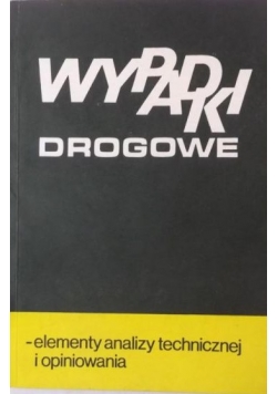 Wypadki drogowe-elementy analizy technicznej i opiniowania