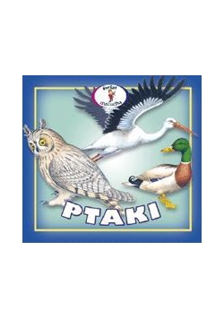 Harmonijka - ptaki