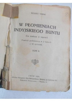 W płomieniach indyjskiego buntu, 1925 r.