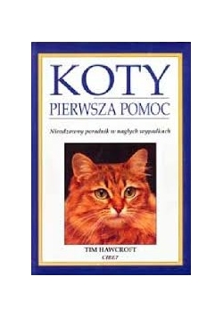 Koty pierwsza pomoc