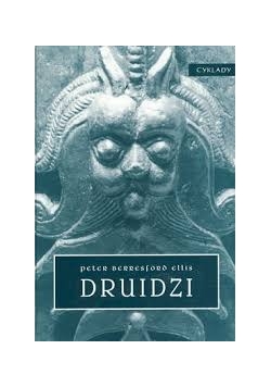 Druidzi