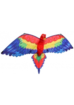 Latawiec Cora 3D Gunther