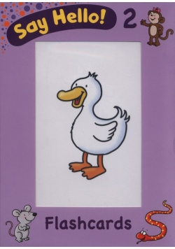 Say Hello 2 Flashcards