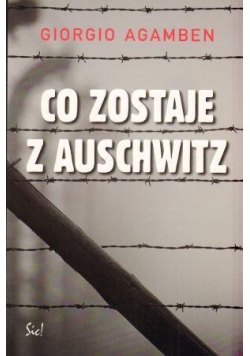 Co Zostanie z Auschwitz - Giorgio Agamben