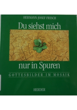 Du siehst mich nur in Spuren