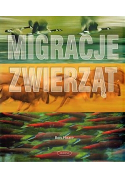 Migracje zwierząt