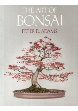 The art of bonsai