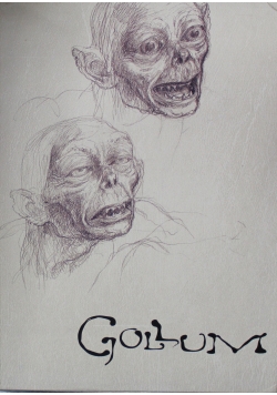 The Gollum Capturing Movie Memories Płyta DVD
