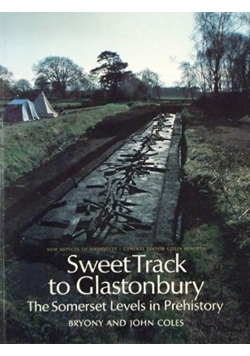 Sweet Track to Glastonbury