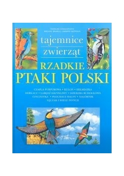 Rzadkie ptaki Polski