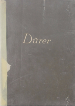 Durer