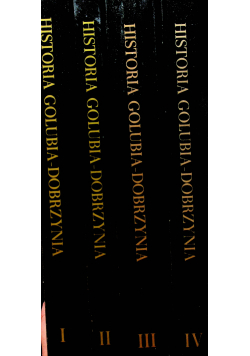 Historia Golubia  Dobrzynia 4 tomy