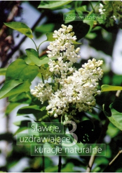Sławne, uzdrawiające kuracje naturalne 3