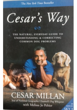 Cesars Way
