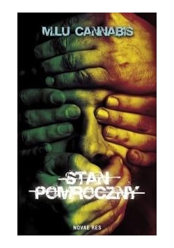 Stan pomroczny