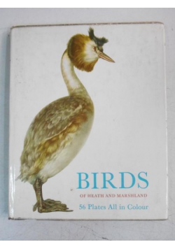 Birds of Heath and Marshland