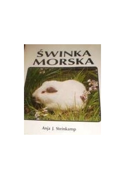 Świnka Morska