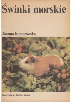 Świnka morska
