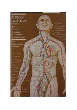 Human Anatomy, t. II