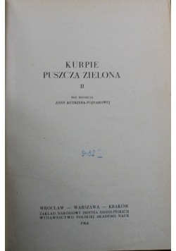 Kurpie puszcza zielona II