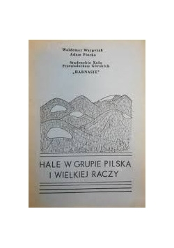 Hale w grupie Pilska w Wielkiej Raczy