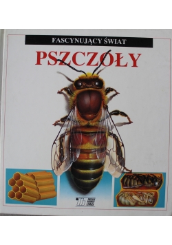 Pszczoły Fascynujący świat