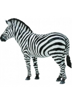 Zebra Common