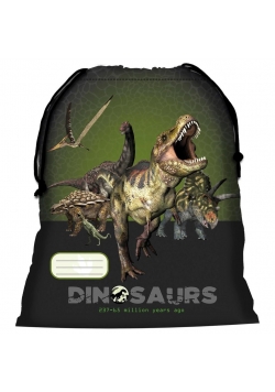 Worek na obuwie Dinozaur 10 DERFORM
