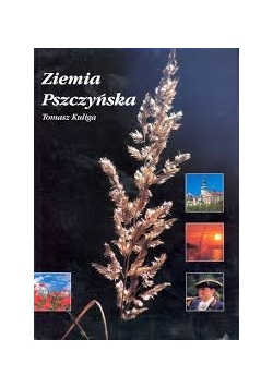 Ziemia pszczyńska