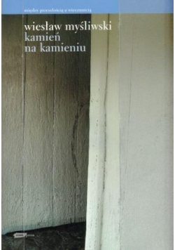Kamień na Kamieniu