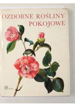 Ozdobne rośliny pokojowe