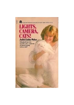 Lights, Camera, cats!